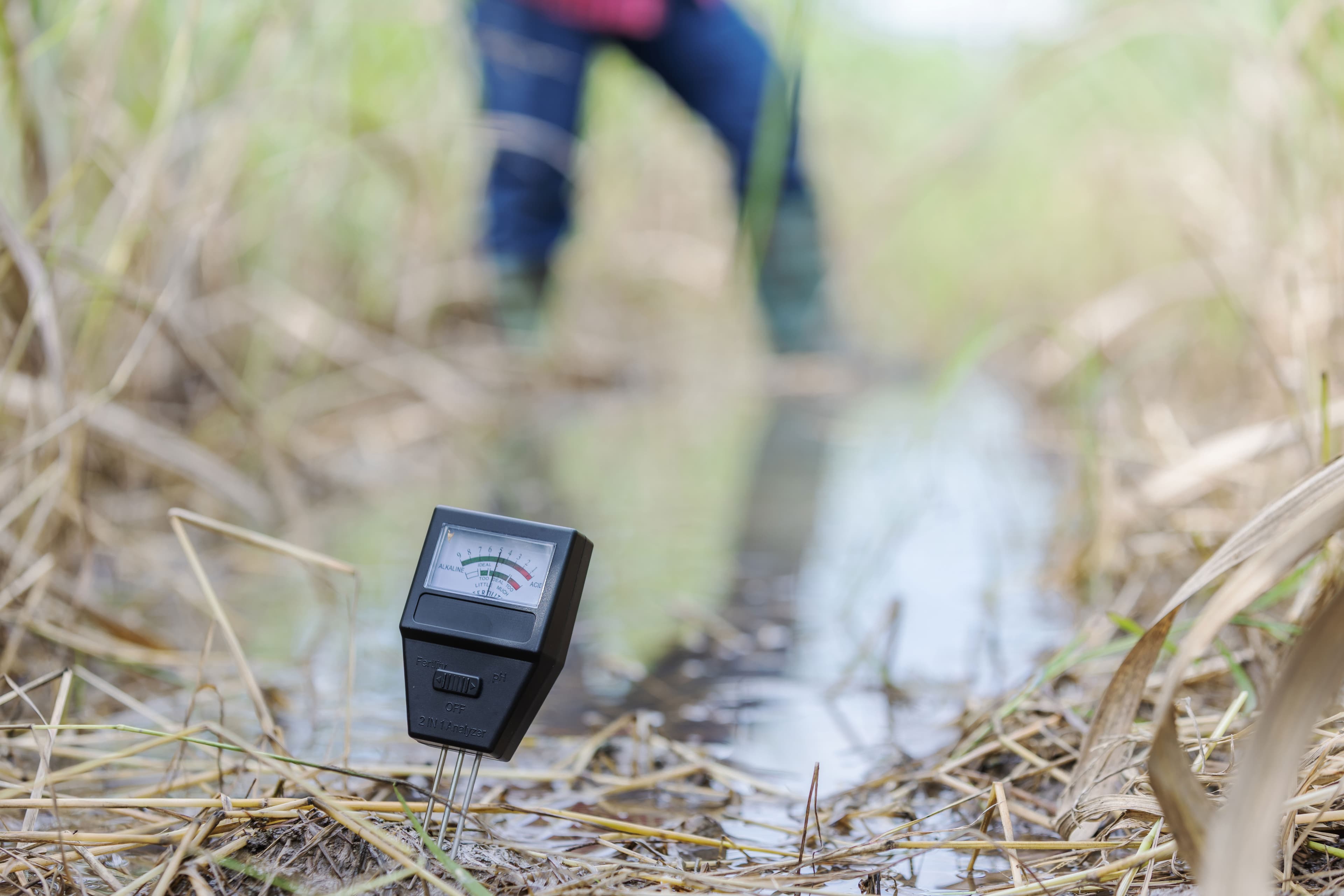 groundwater monitoring
